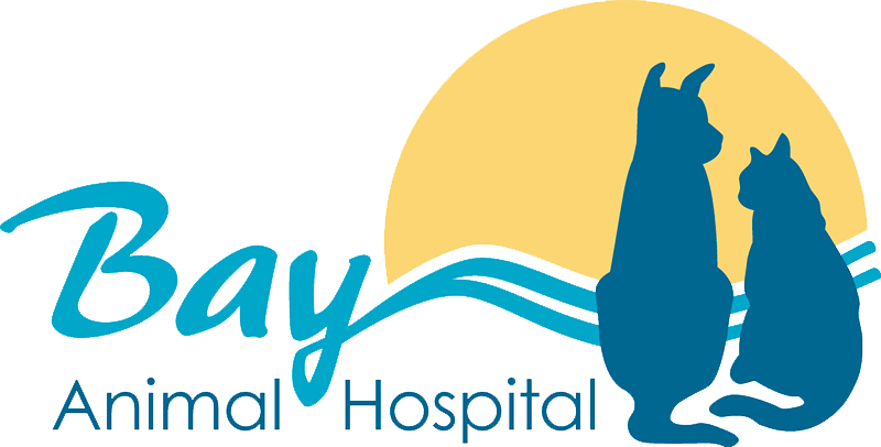 Bay Animal Hospital logo
