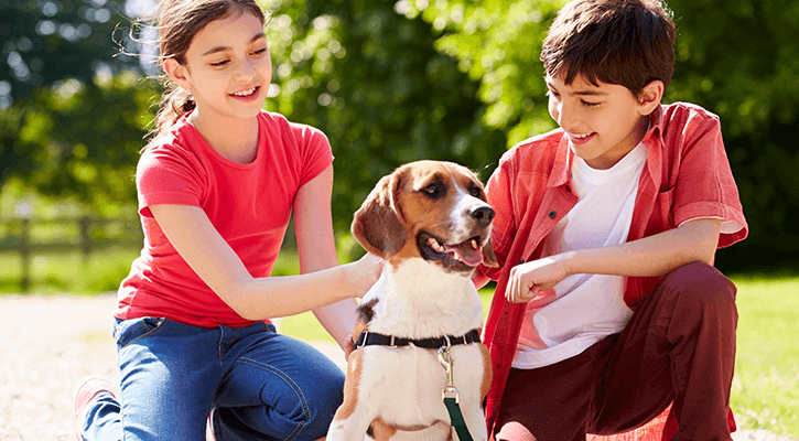 a child and child petting a dog