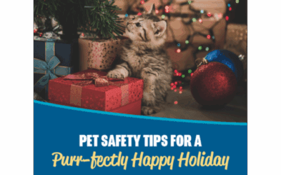 Pet Safety Tips For A Purr-Fectly Happy Holiday